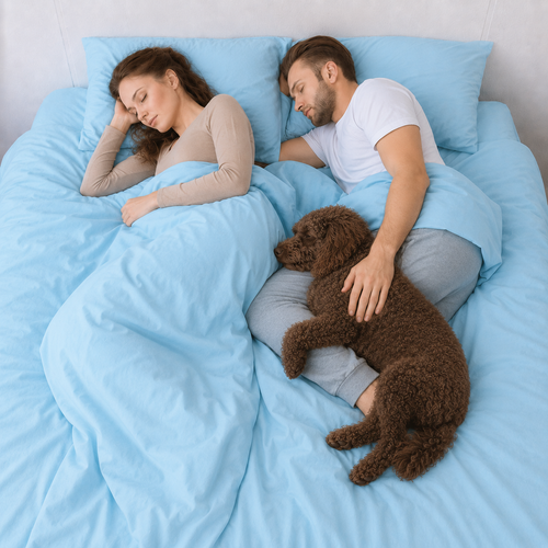 Sky Blue Bamboo Sheet Set • Double