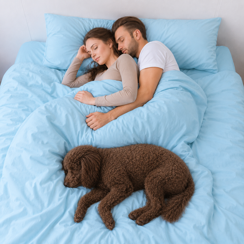 Sky Blue Bamboo Sheet Set • King