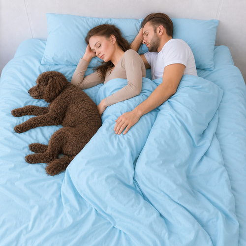 Sky Blue Bamboo Sheet Set • Queen