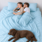 Sky Blue Bamboo Sheet Set • Super King